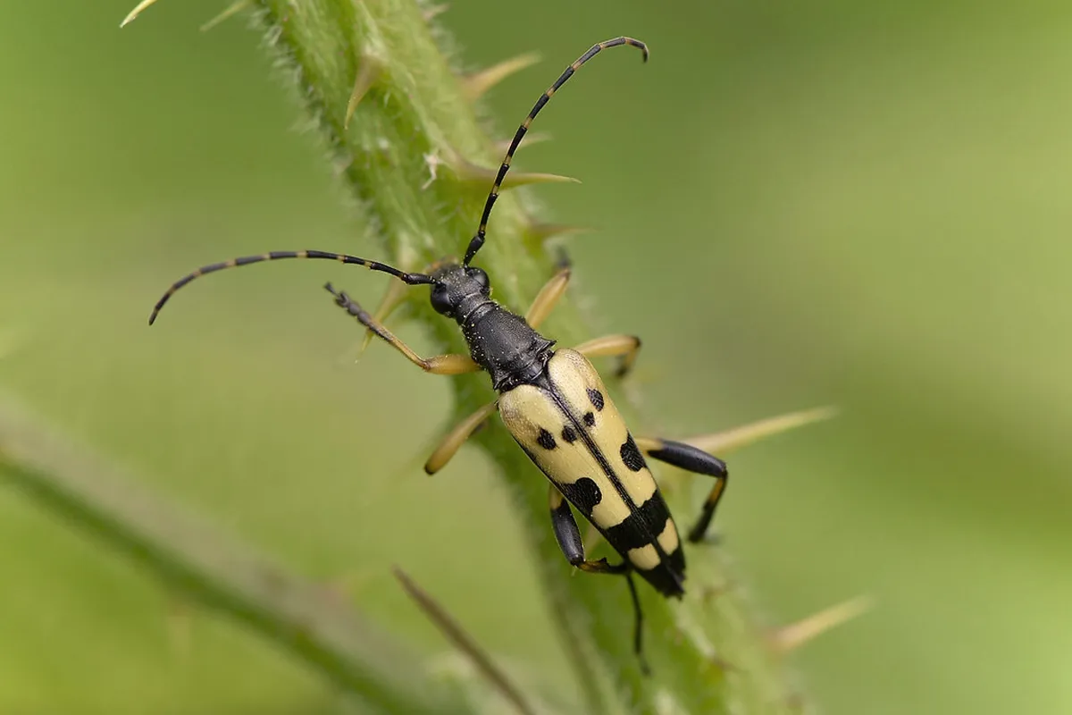 Visiting Poda Protected Area for Nature Views